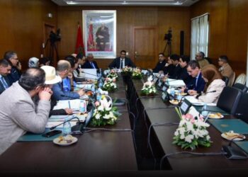 اجتماع مجلس إدارة المركز السينمائي المغربي : استراتيجية نحو تحديث الصناعة السينمائية