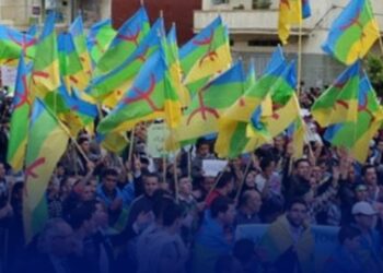 التنظيمات الأمازيغية بالمغرب تُطالب بحماية اللغة الأمازيغية وتفعيل رسميتها بعد نتائج الإحصاء الأخير