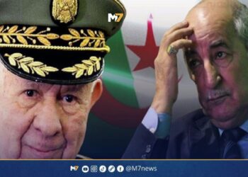 تعنت النظام الجزائري: تهور دبلوماسي يعرض الجزائريين للهلاك