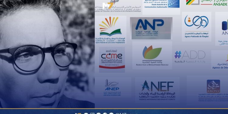 رشيد الحاحي: الكفاءات الأمازيغية خارج تدبير أو المشاركة في المؤسسات العمومية