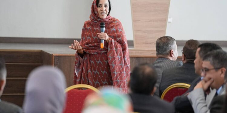 مجلس جهة كلميم وادنون يعقد ندوة صحفية