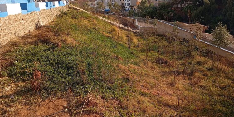 سيدي إفني: بالصور إهمال الفضاءات العامة يسائل جماعة المدينة… تدهور مستمر واستنكار واسع