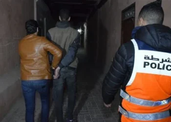توقيف ثلاثة أشخاص بأولاد تايمة للاشتباه في تورطهم في السرقة والتهديد بالسلاح الأبيض