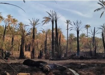 جماعةتاغجيجت : لقاء علمي حول الثروة البيئيةومجال الواحات