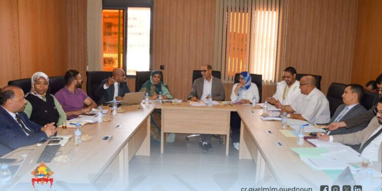 جهة كلميم-واد نون تواصل استعداداتها لانعقاد الدورة العادية لمجلس الجهة لشهر يوليوز 2025