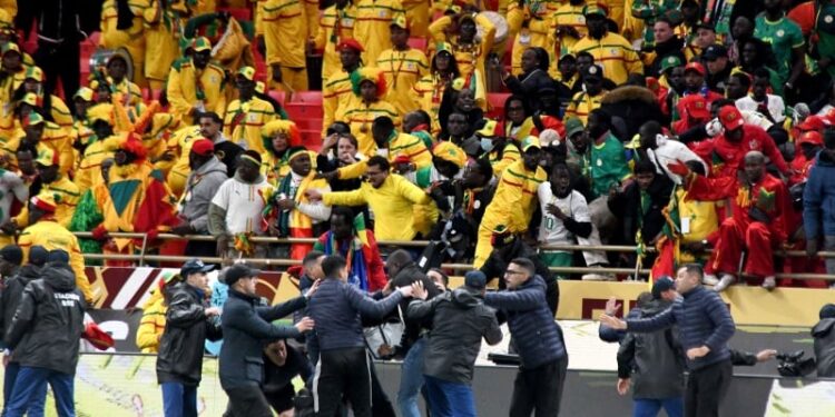 تمديد الحراسة النظرية لمشجعين سنغاليين وجزائريين بعد شغب نهائي كأس أمم إفريقيا