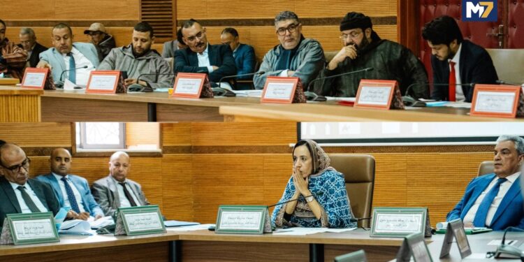 انعقاد الدورة العادية لشهر مارس 2026 لمجلس جهة كلميم واد نون