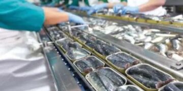 بعد 27 سنة من العمل.. عاملة بوحدة بحرية مملوكة لأجنبي بأنزا تواجه الطرد بتهمة
